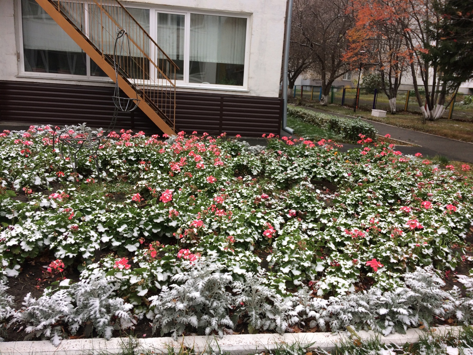 IMG_3001